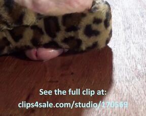 BBW LEOPARD PRINT SLIPPERS COCK CRUSH VIEW 1 PT1 TRAILER