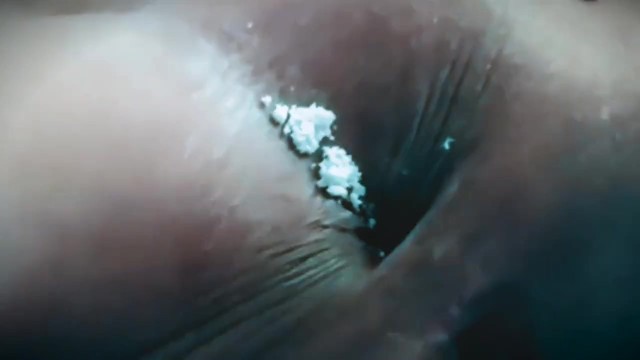Anal Sex With Cocaine - COCAINE COCKS 'n RECTAL | Sniff Coke from Asshole and Plugging - AnalSee